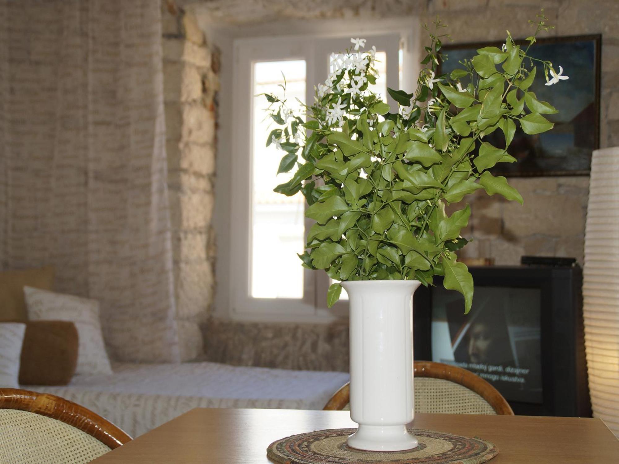 Apartments Stelina Korčula Habitación foto